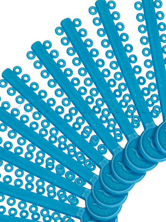 22-60-06-1001-22-60-06-1001 Ligatures elastomeriques modulaires.png